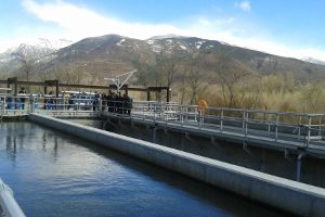 Arag&oacute;n pone en marcha el programa de inspecci&oacute;n de aguas residuales y estaciones de depuraci&oacute;n para 2017