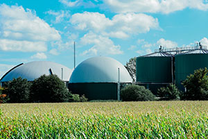 RENMAD anuncia las nominaciones de la I Edición de los Premios RENMAD Biometano 2026