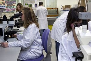 El IIAMA consolidado como uno de los centros de referencia nacional en temas de Agua y Medio Ambiente