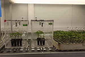 Los MBBR de BIOPLAST DEPURACIÓN, en nuevos proyectos