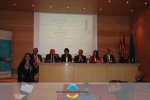 Los expertos sobre el agua reclaman más cooperación institucional en la "Gobernanza del Agua"