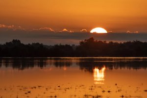 El Instituto de Ingeniería de España organiza la Jornada “Doñana: Reserva de la Biosfera”