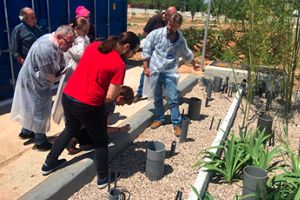 IMDEA Agua organiza un encuentro entre científicos e investigadores