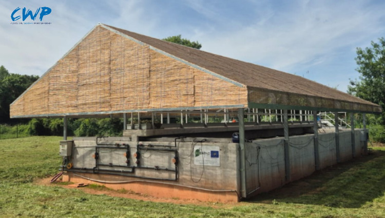 LIFE BIODAPH2O refuerza el potencial de la naturaleza para eliminar PFAS y micropl&aacute;sticos en la regeneraci&oacute;n de aguas residuales