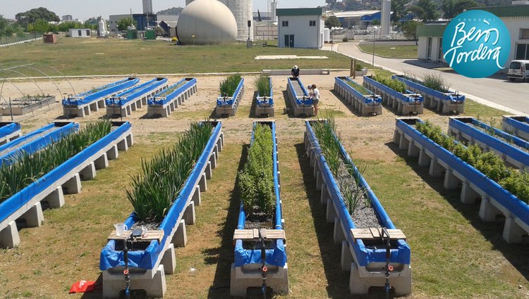 El Urban River Lab, "Premio del Agua 2025" por su décimo aniversario