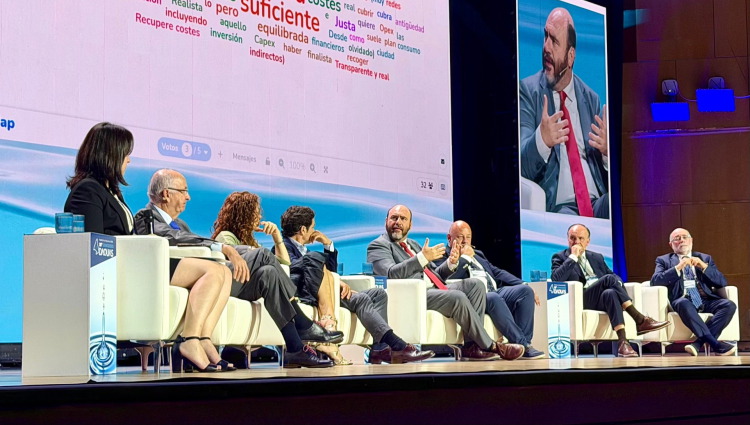 Ayuntamientos y operadores coinciden en una  revisi&oacute;n de las tarifas del agua para acometer  inversiones urgentes