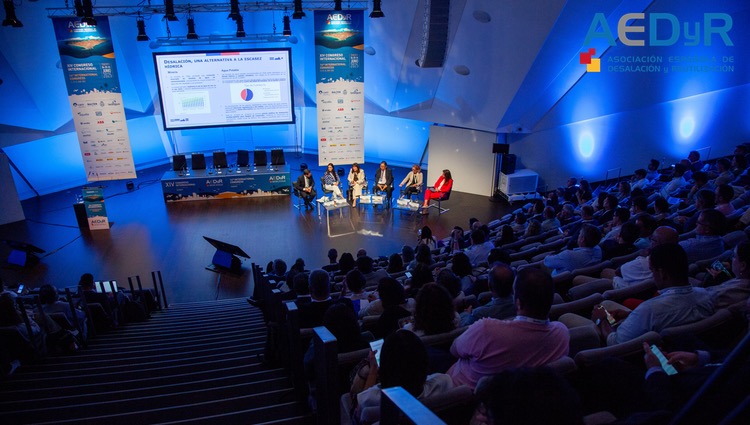Resumen y conclusiones del "XIV Congreso Internacional de AEDyR" celebrado en Tenerife del 24 al 26 de junio