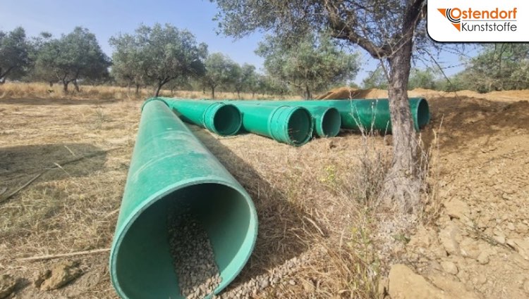 El futuro del saneamiento de agua ya es “verde” en Salteras