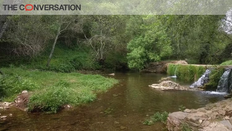 Así podemos entrenar a las bacterias para que eliminen medicamentos del agua