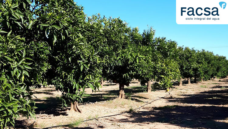 Mayor calidad del agua regenerada y un riego más eficiente: así son los primeros avances del proyecto SIRERA