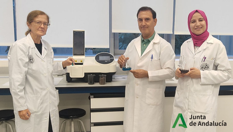 Investigadores aplican un biocarb&oacute;n obtenido del orujillo de las almazaras para depurar aguas residuales