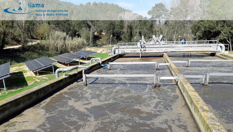 Investigadores del IIAMA-UPV desarrollan una metodología para evaluar los riesgos sanitarios del agua regenerada con microalgas