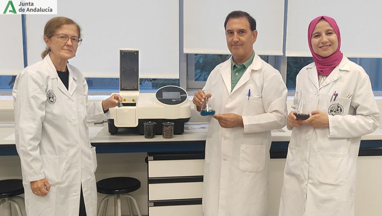 Investigadores aplican un biocarb&oacute;n obtenido del orujillo de las almazaras para depurar aguas residuales