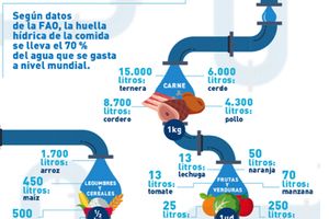 ¿Cuánta agua se necesita para producir alimentos?