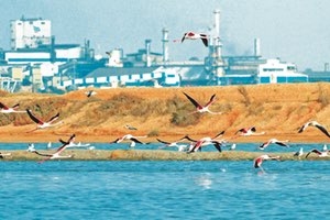 La UTE Aquatec-Lantania construirá una planta regeneradora de aguas industriales de vertido cero pionera en España con 12 M€ de presupuesto