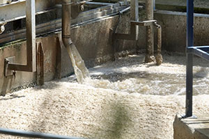 Sensores basados en bacterias, los nuevos guardianes invisibles del agua