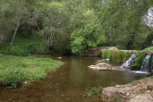 Así podemos entrenar a las bacterias para que eliminen medicamentos del agua