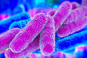 Más de 100 profesionales en el curso "Innovación en la medida de la calidad del agua, reutilización de aguas industriales, legionella y telecontrol"
