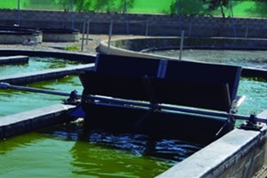 Fase final de las obras de remodelaci&oacute;n de la EDAR de Chiclana en C&aacute;diz para su adaptaci&oacute;n al proyecto All Gas