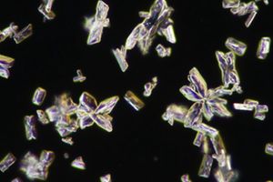 Una tesis del LEQUIA explora la eliminación autotrófica de nitrógeno para recuperar potasio y fósforo de agua residual