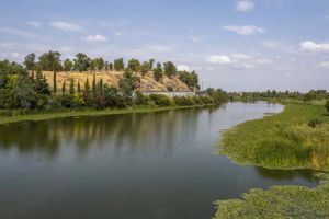 La CH del Guadiana formaliza con TRAGSA la eliminación de la especie invasora "nenúfar mejicano" a lo largo de su cuenca