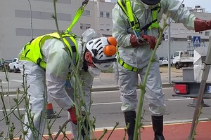 SUEZ comparte su visión sobre la seguridad y salud laboral en el contexto de la COVID-19 en el Congreso ORP on-line