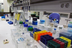 El IIAMA participa en un proyecto para monitorizar la presencia de antibióticos, genes resistentes y otros contaminantes en las aguas residuales de València