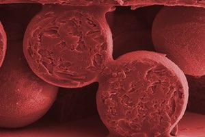 Investigadoras de la Universidad de Chile patentan una membrana anti-bioensuciamiento para desalinización