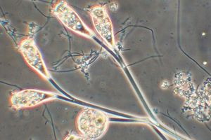 GBS lanza servicios de Formaci&oacute;n Especializados para impulsar la competitividad en licitaciones de aguas residuales