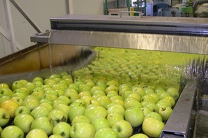 Gestión integral del agua en la industria agroalimentaria: Cómo mejorar los costes de producción