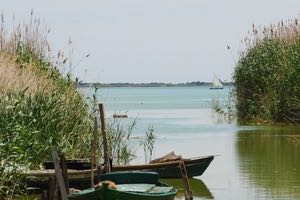 La Comunidad Valenciana celebra el Día Mundial de los Humedales en el Parque Natural de l'Albufera