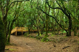El Ayuntamiento de Santa Cruz y Cabildo de Tenerife mejorarán el saneamiento del Parque Rural de Anaga