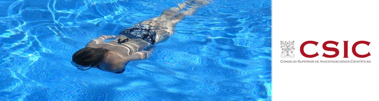 Así se transmite la COVID-19 en playas y piscinas según el CSIC