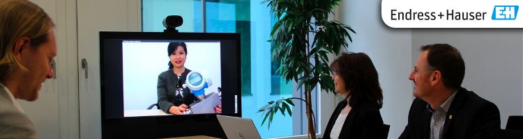 Calendario de Webinars 2019 de Endress+Hauser