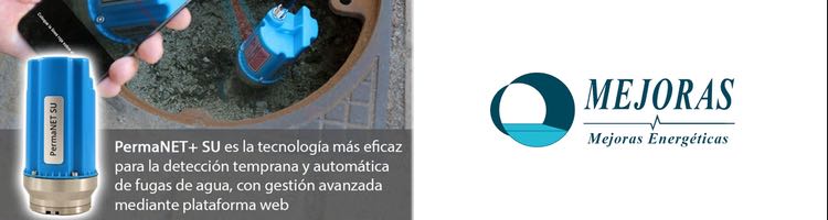 Perte de digitalización del Ciclo del Agua: Detección temprana de fugas estructurales