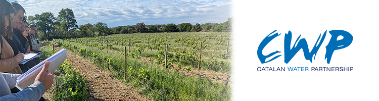 El proyecto ViWaTec acerca al sector vitivinícola soluciones para mejorar el uso del agua