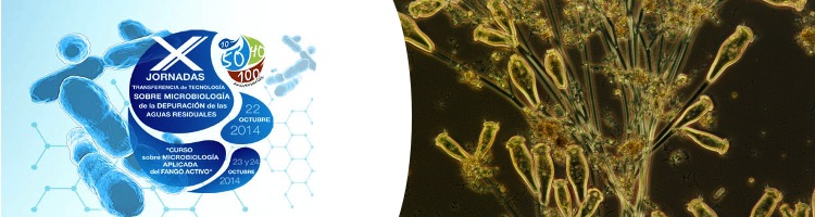 Esta semana se celebran en Sevilla las "X Jornadas de Transferencia de Tecnología sobre Microbiología de la Depuración de las Aguas Residuales" organizadas por GBS
