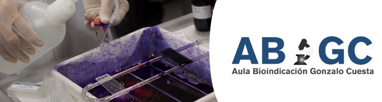 El ABGC organiza "BIOPROEDAR" una jornada sobre la introducción a las técnicas de bioindicación y control de procesos en EDAR con la colaboración de AGUASRESIDUALES.INFO