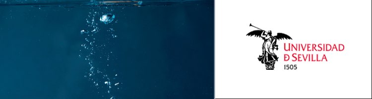 Descubierto un mecanismo que explica el movimiento inestable de las burbujas que se elevan en el agua