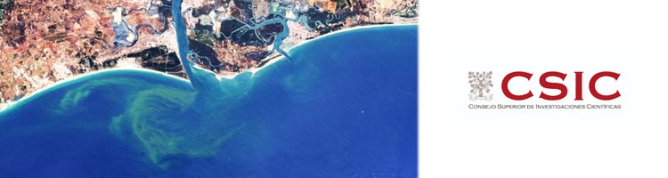 Un equipo del CSIC desarrolla una metodología para detectar y monitorizar las floraciones de algas nocivas