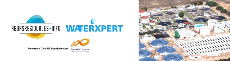 Aprovecha la promoción de septiembre de nuestro nuevo Curso ON-LINE "Diseño y Optimización de EDAR mediante Modelado y Simulación I"