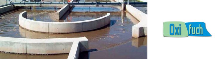 Biorremediación en EDAR: Una forma sostenible de purificar aguas