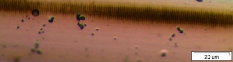 Desarrollan un biosensor capaz de detectar contaminantes de bajo peso molecular a muy bajas concentraciones