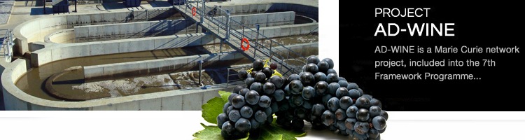 Finaliza con éxito el proyecto europeo AD-Wine liderado por Aema para el tratamiento de aguas vinícolas