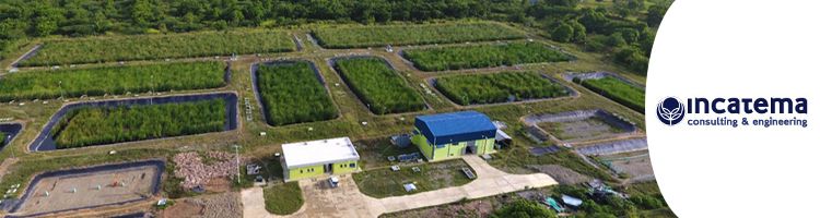 Conoce la depuración con plantas macrofitas del Parque Industrial de Caracol en Haití