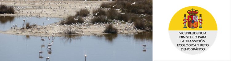 El Gobierno autoriza obras hidráulicas y de saneamiento en el área metropolitana de Valencia para proteger L’Albufera
