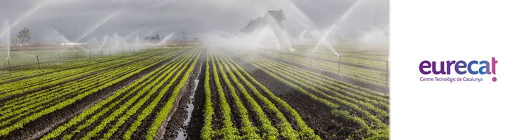 Aplican Inteligencia Artificial para la reutilización de aguas residuales y sus nutrientes en el sector agrícola