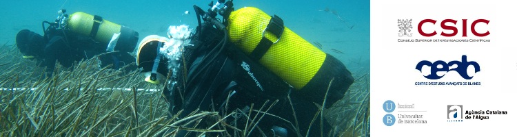 La costa catalana disfruta de aguas más limpias gracias al tratamiento y la depuración de las aguas residuales