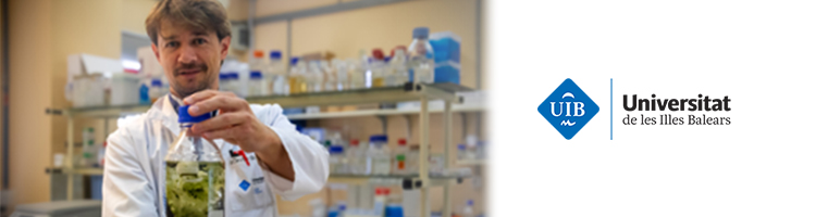 Los plásticos de los ríos pueden albergar potenciales patógenos y genes de resistencia a antibióticos