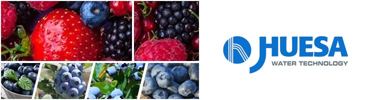 J. Huesa participa en el 7º "Congreso Internacional de Frutos Rojos" el 22 y 23 de junio en Huelva